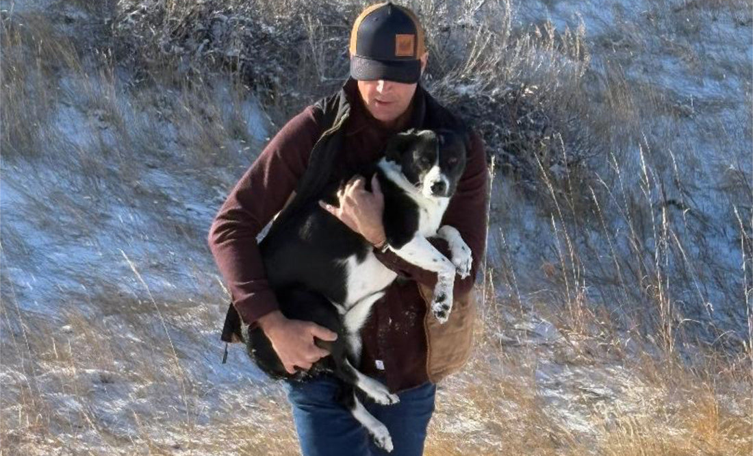 2025 was a year of trauma for our family