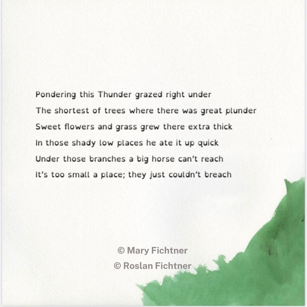 The Big Battle of Thunder the Smallest War Horse