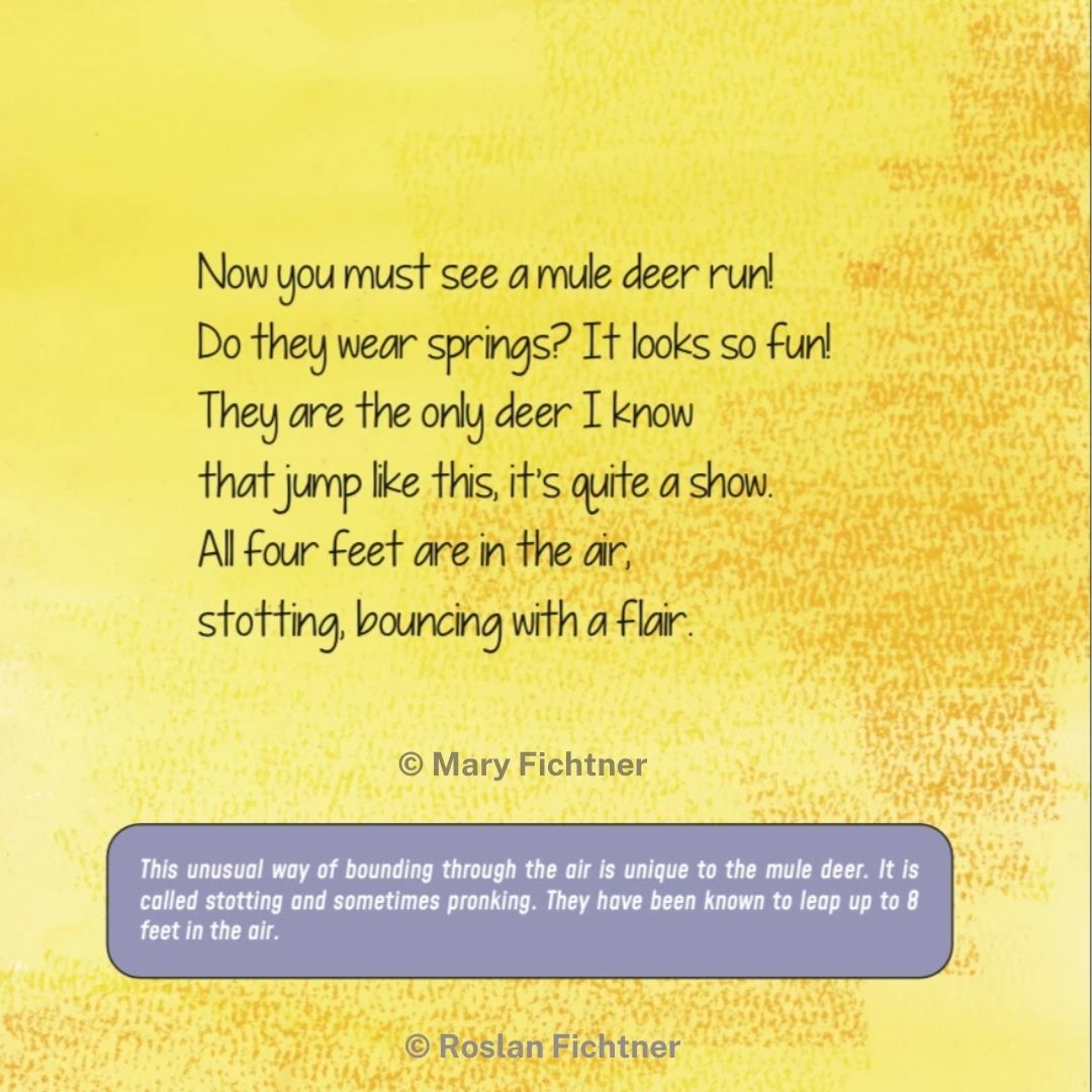 The Magnificent Mule Deer