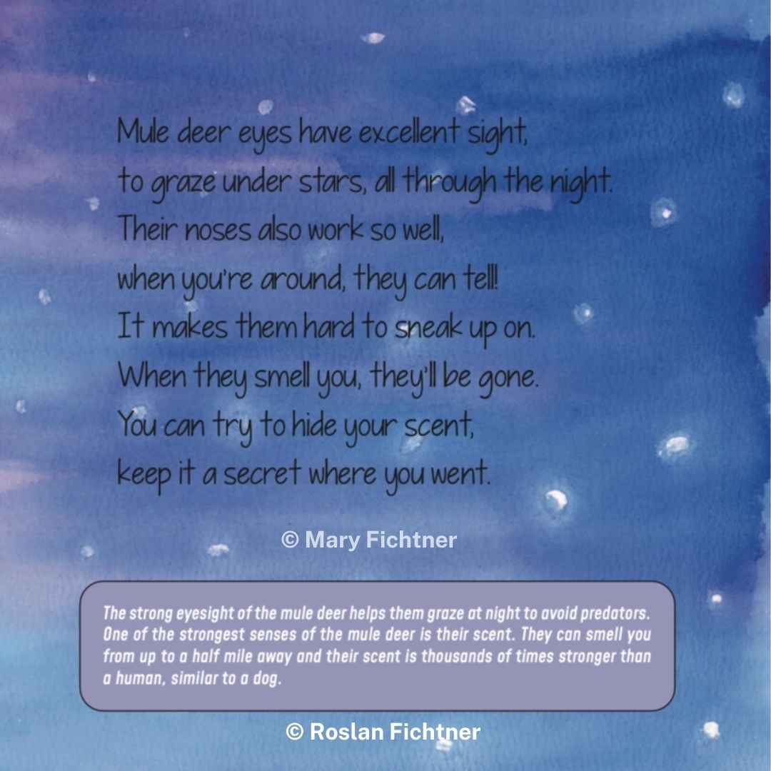 The Magnificent Mule Deer